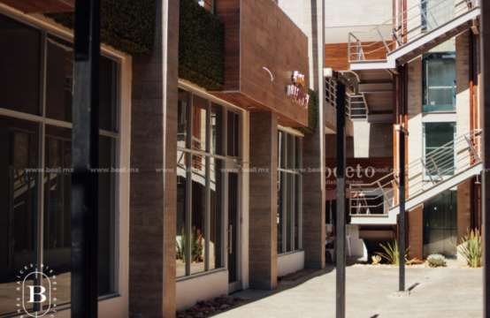 LOCALE EN RENTA PLAZA GUADALUPE SOBRE TEOFILO BORUNDA