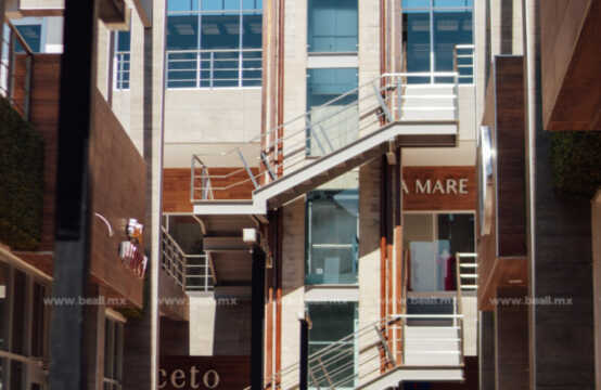 LOCAL EN VENTA 54 M2 EN PLAZA GUADALUPE LOCAL 210